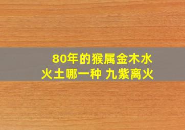 80年的猴属金木水火土哪一种 九紫离火